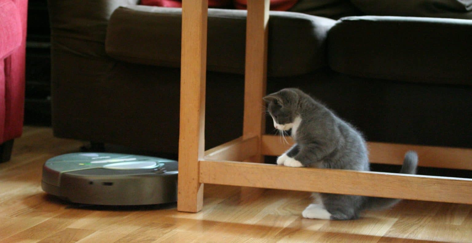 Best Roomba For Pet Hair Automated Outlet