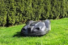 Robot Lawn Mower cutting grass